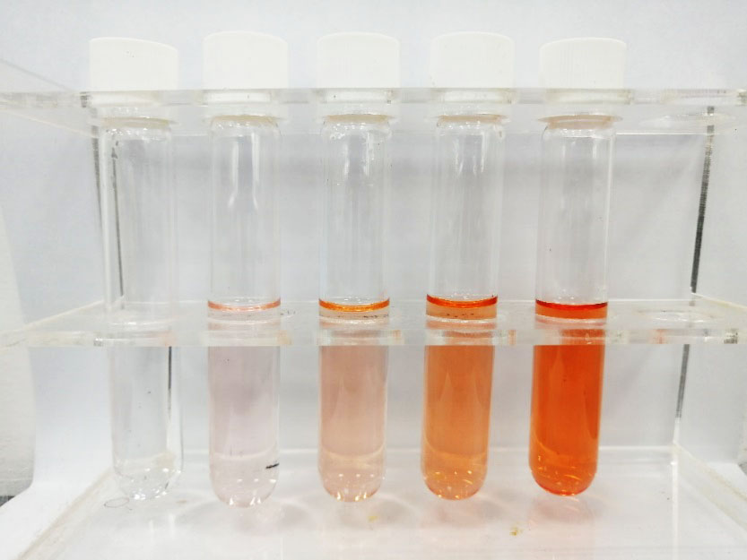 用多參數水質分析儀測量水中鐵的含量詳細方法如下(圖4)